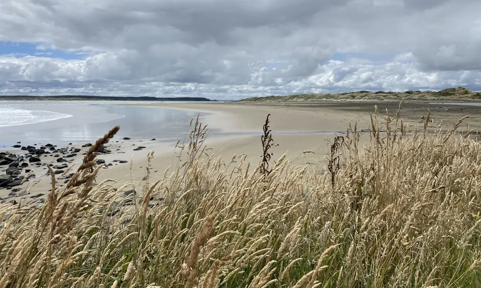 Omaui Reserve, Southland
