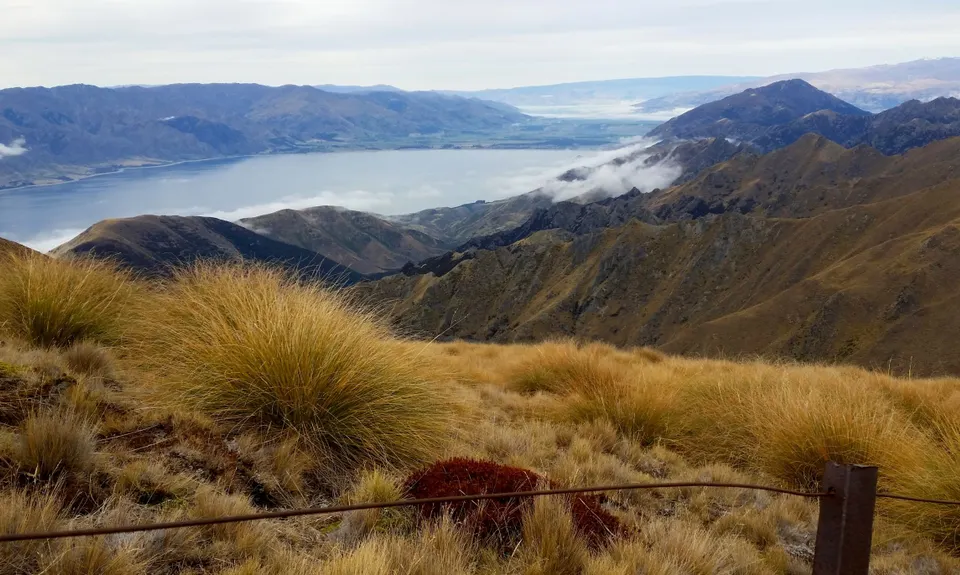 Isthmus Peak, Otago