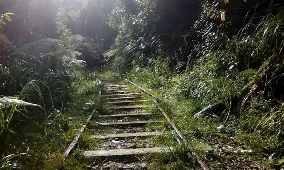 Waitawheta Tramway - Bogeys and Bluffs, Waikato