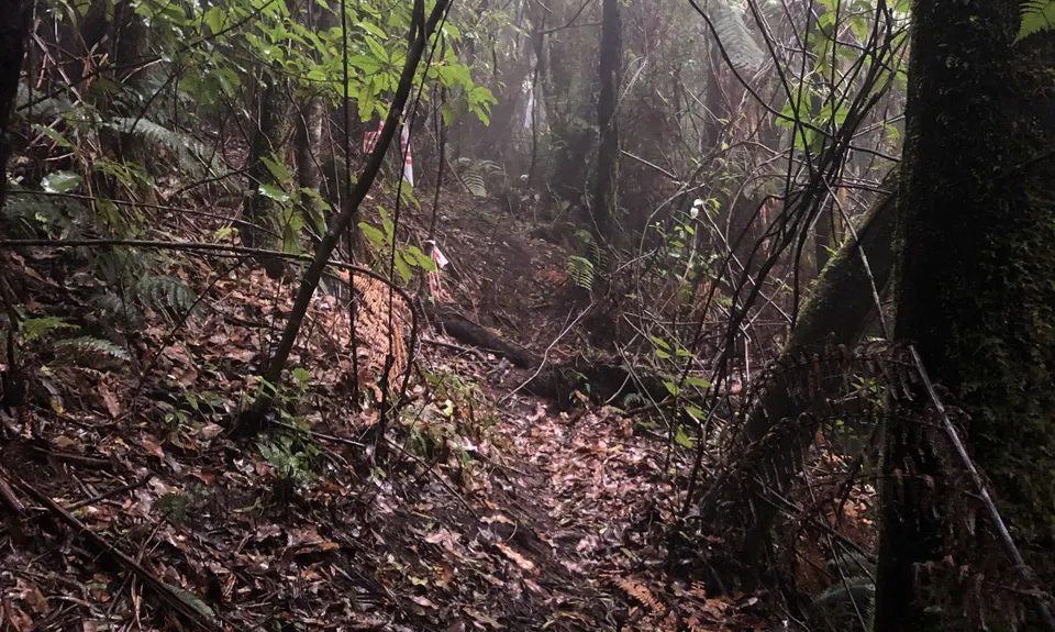 RTRC Club Track Loop, Bay of Plenty