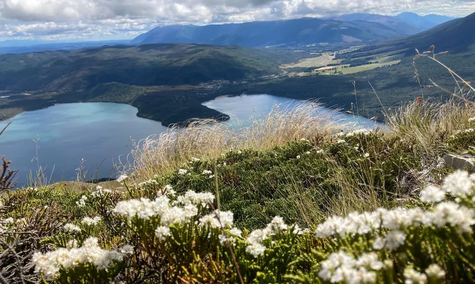 Mt Robert Loop, Tasman