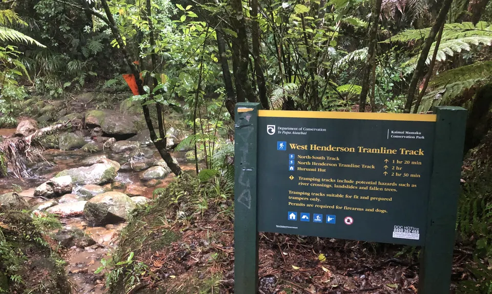 Henderson Tramline - Kaimai , Bay of Plenty