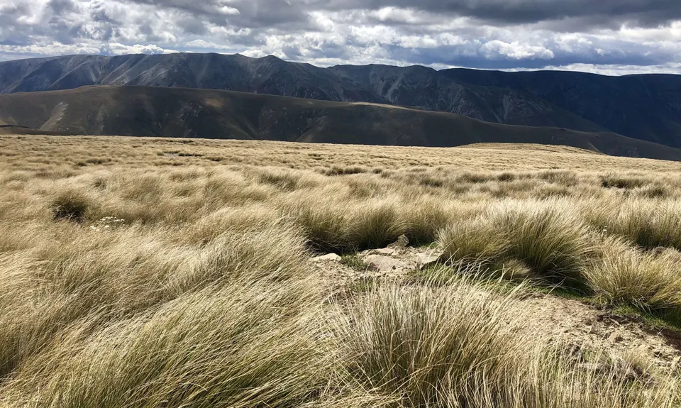 Omarama Saddle (Broken Hut Road Entry), Otago