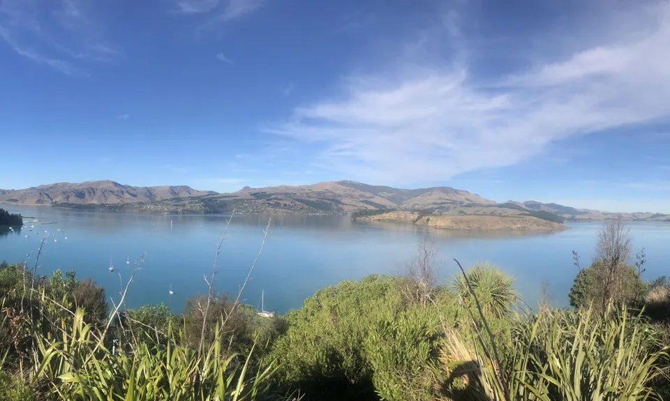 Dog Sniffing Rhythms - Harbour Crusin', Canterbury