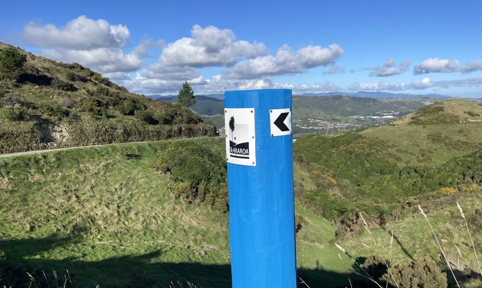 Colonial Knob - All the Hills, Wellington