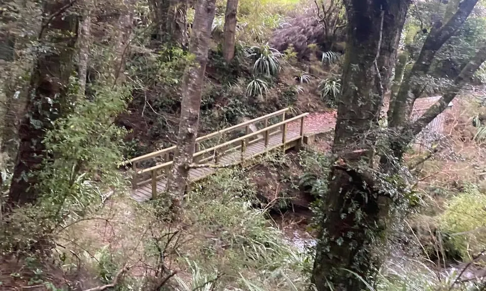 Black Gully - Blue Mountains, Otago