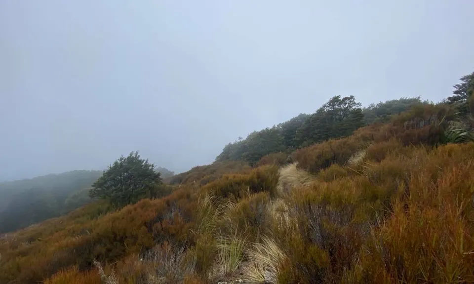 Black Gully - Blue Mountains, Otago