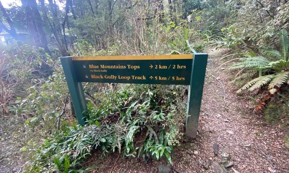 Black Gully - Blue Mountains, Otago