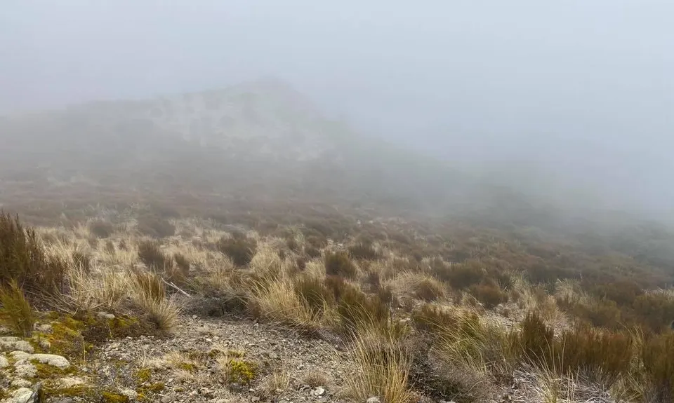 Black Gully - Blue Mountains, Otago