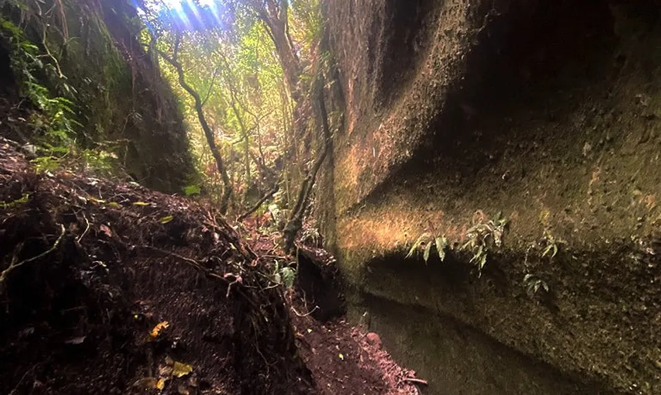 Great Lake Trail Loop, Waikato