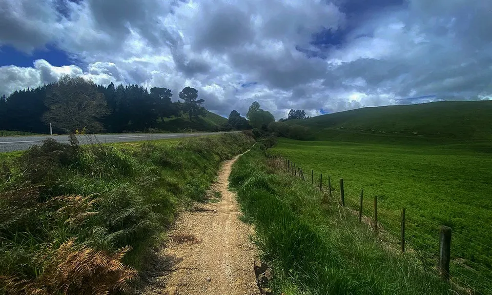 Great Lake Trail Loop, Waikato