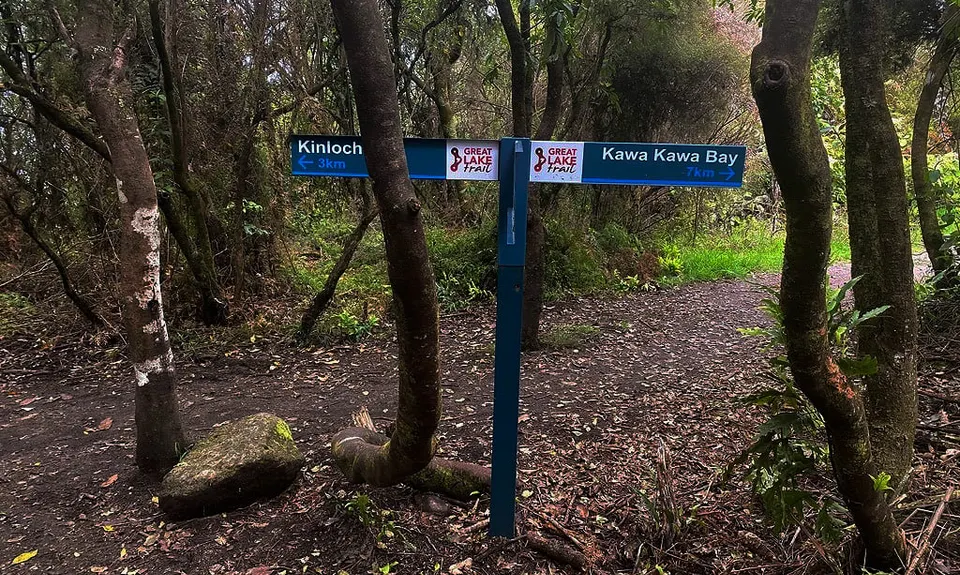 Great Lake Trail Loop, Waikato