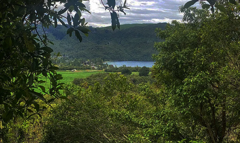 Great Lake Trail Loop, Waikato