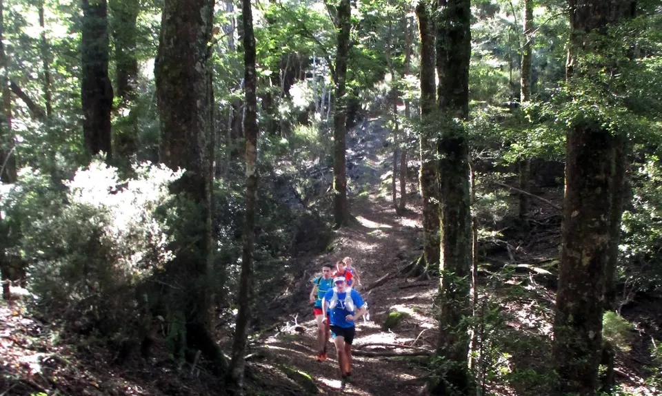 Kaweka Run and Soak, Hawkes Bay