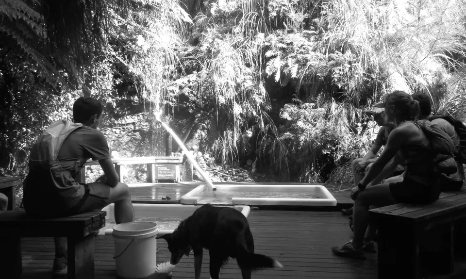 Kaweka Run and Soak, Hawkes Bay
