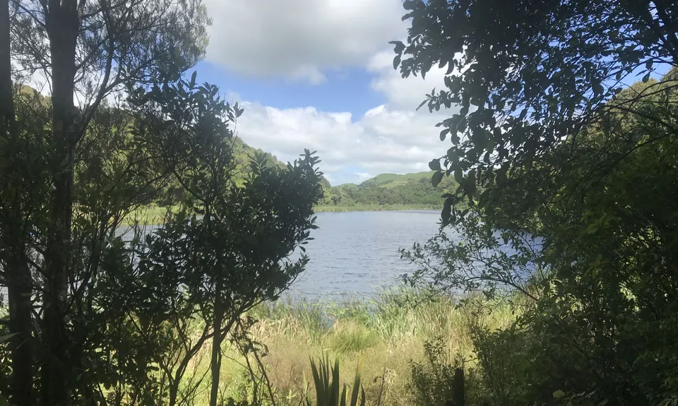 Rotokare Loop-da-Loop, Taranaki