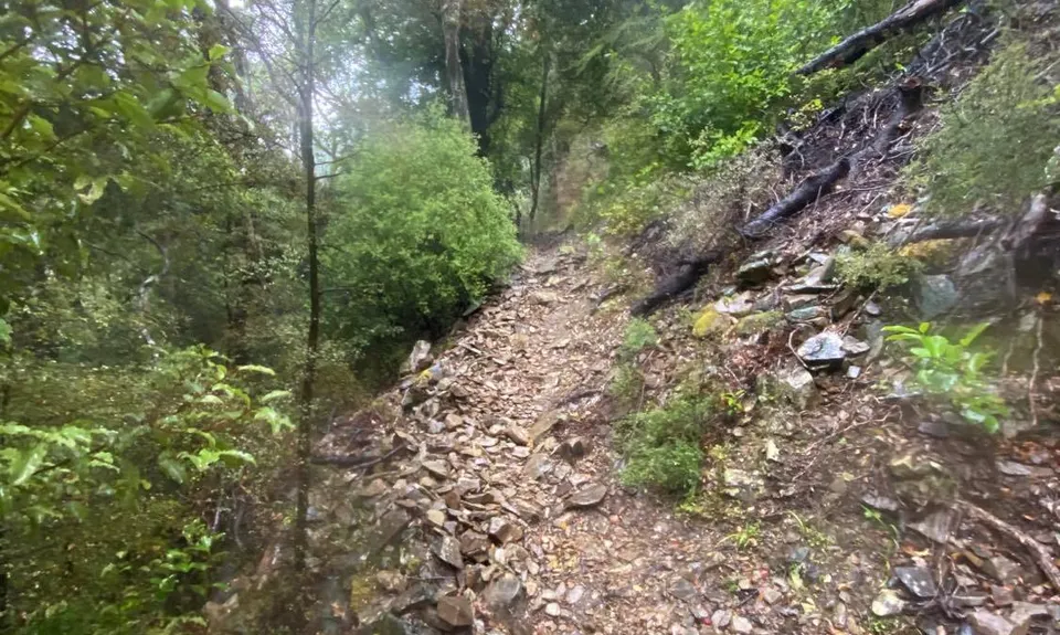 Pukaka Valley Track, Marlborough
