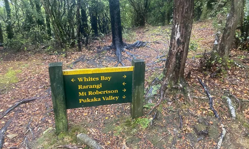 Pukaka Valley Track, Marlborough