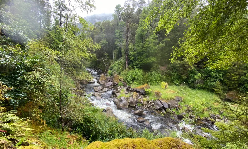 Six Mile - Matakitaki Walk, Murchison, Tasman