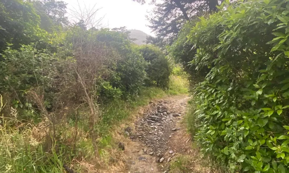 Pukaka Valley Track, Marlborough