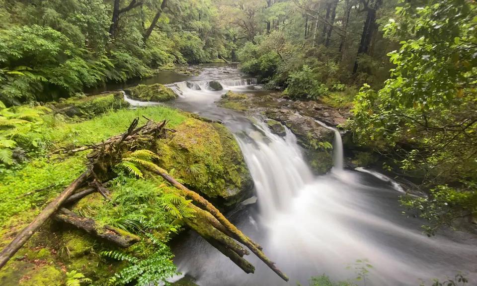 Six Mile - Matakitaki Walk, Murchison, Tasman