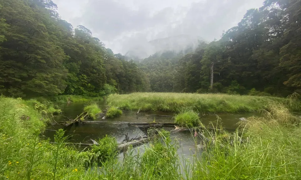 Six Mile - Matakitaki Walk, Murchison, Tasman