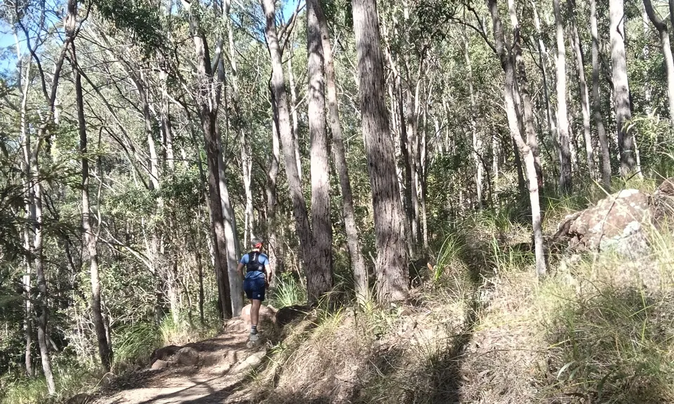 Mount Beerburrum