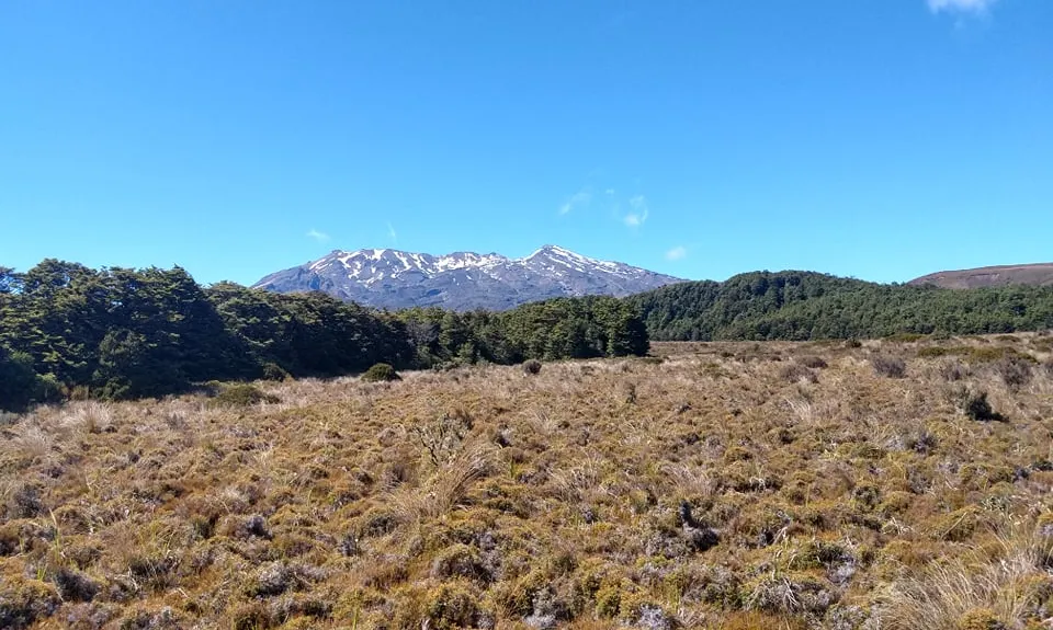 Silica Rapids trail, Manawatu - Wanganui