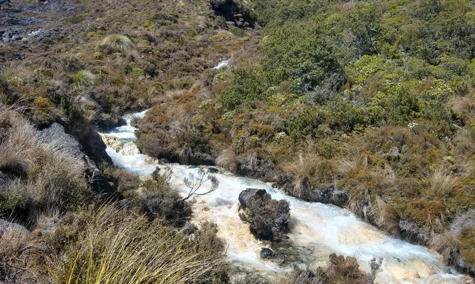 Silica Rapids trail, Manawatu - Wanganui
