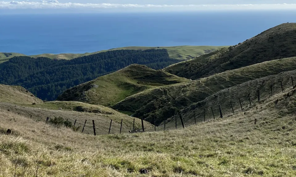Colonial Knob - All the Hills, Wellington