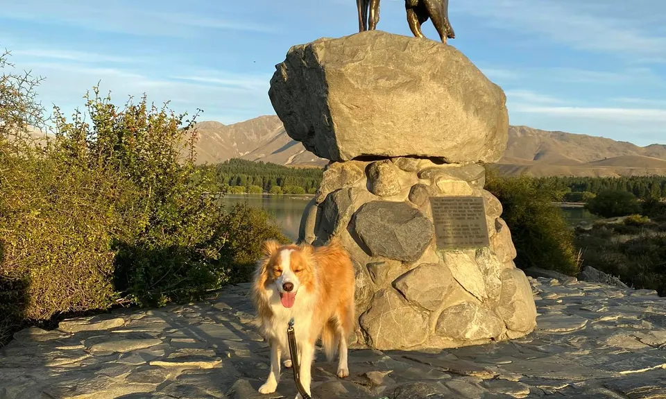 Tekapo Tiki Tour, Canterbury