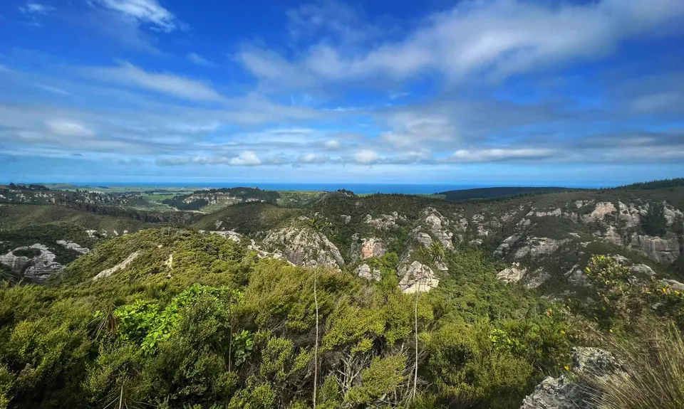 Trotters Trot, Otago
