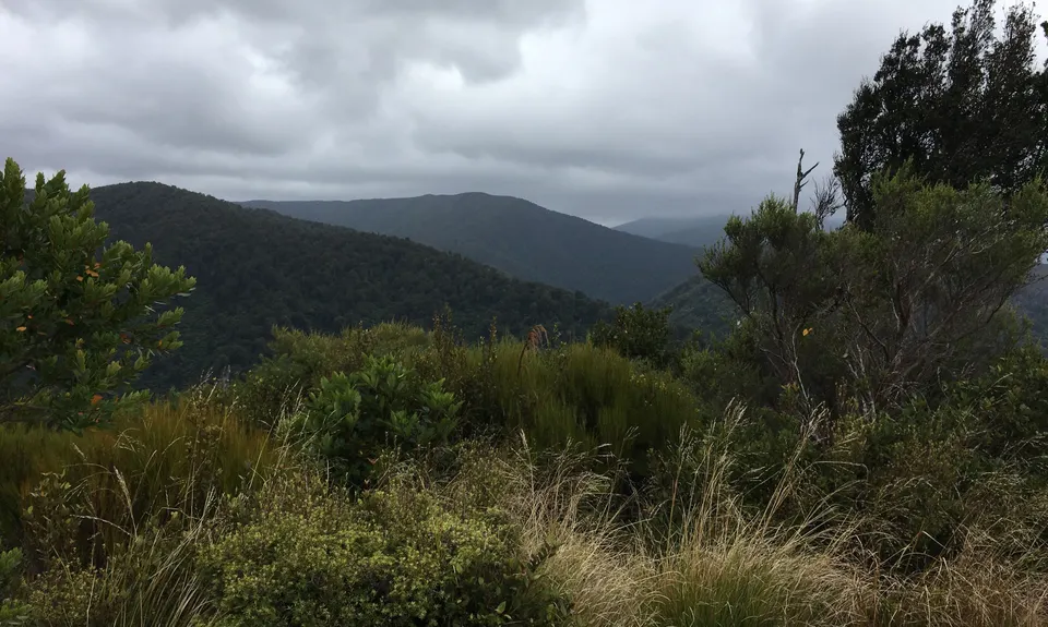 To Rivendell!, Wellington