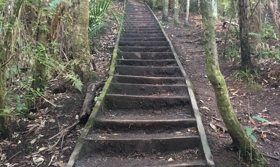 Totara Park Track, Auckland