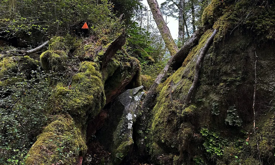Duffy Creek Route, West Coast