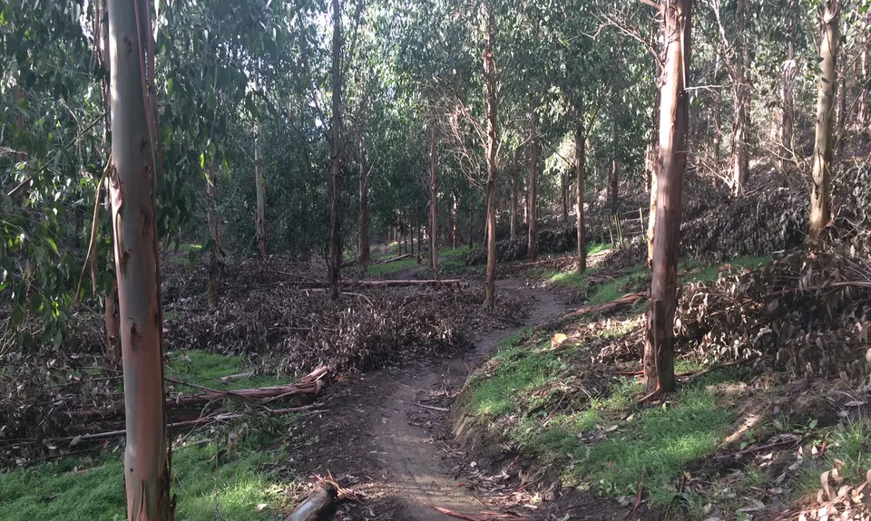 Gum Tree Farm Loop, Hawkes Bay