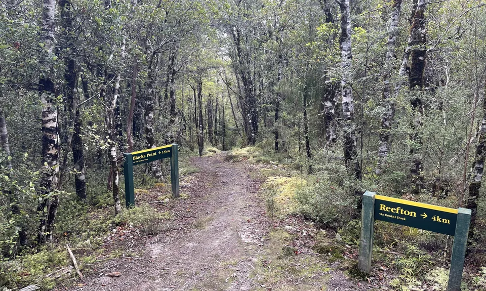 Murray Creek / Konini Track Loop, West Coast
