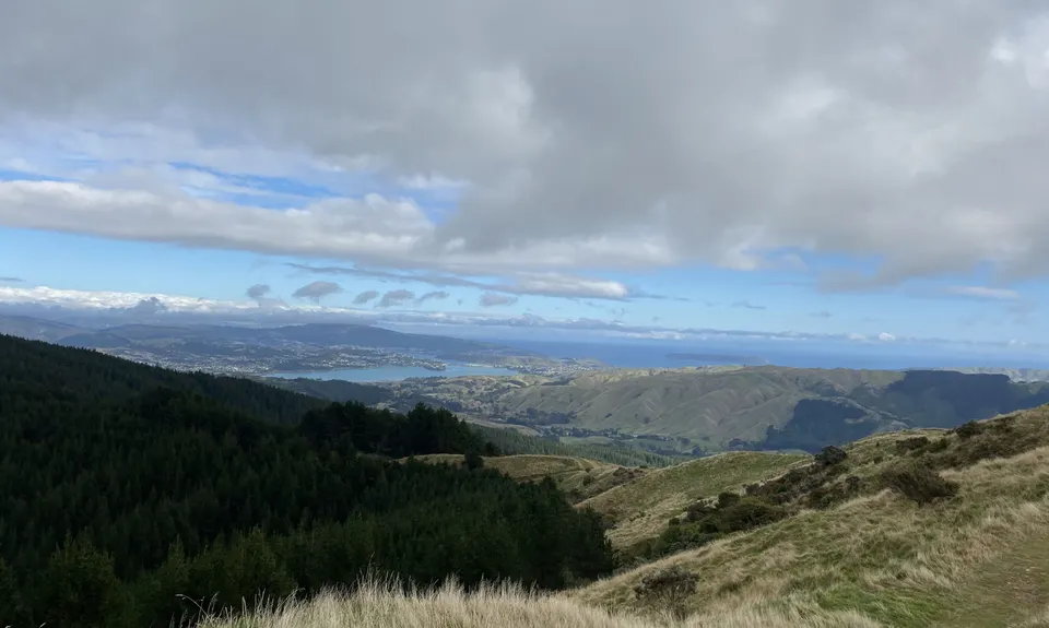 Battle Hill - Puketiro Loop, Wellington