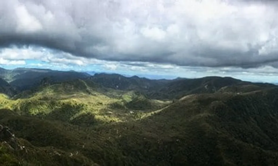 Pinnacles & Billy Goat, Waikato