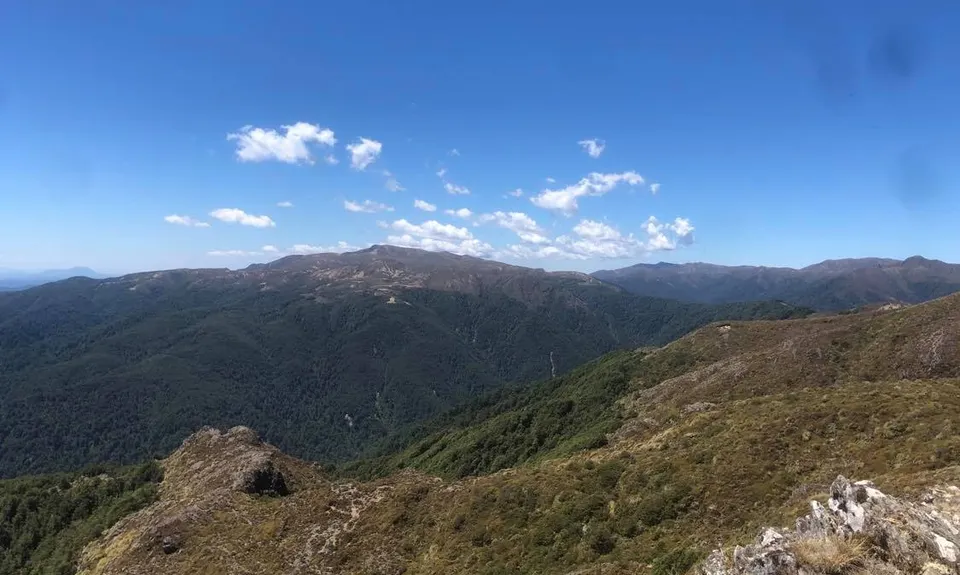 Mt Urchin Magic, Waikato