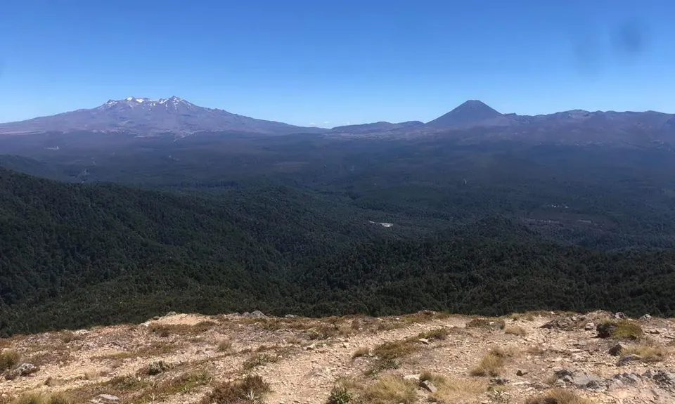 Mt Urchin Magic, Waikato
