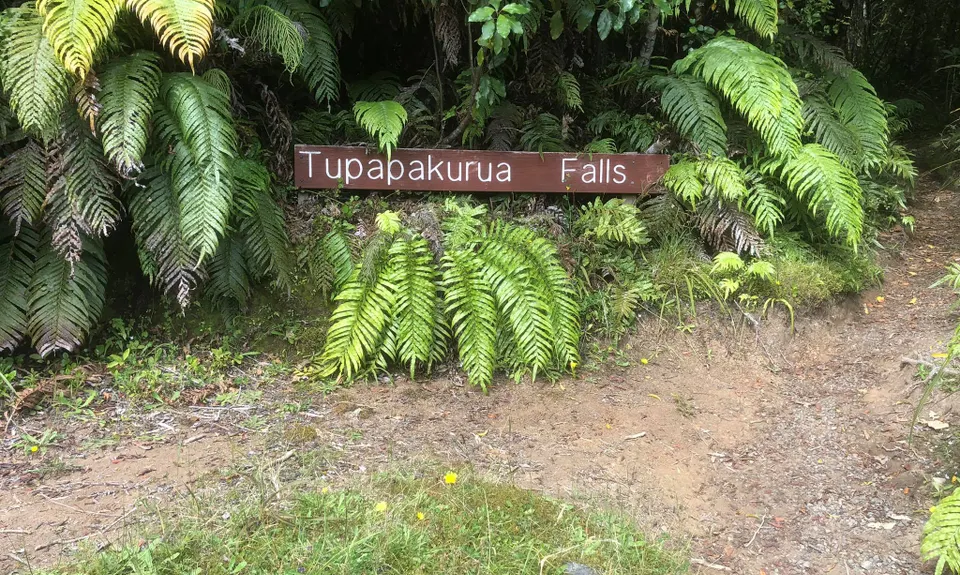 Tupapakurua Falls, Manawatu - Wanganui