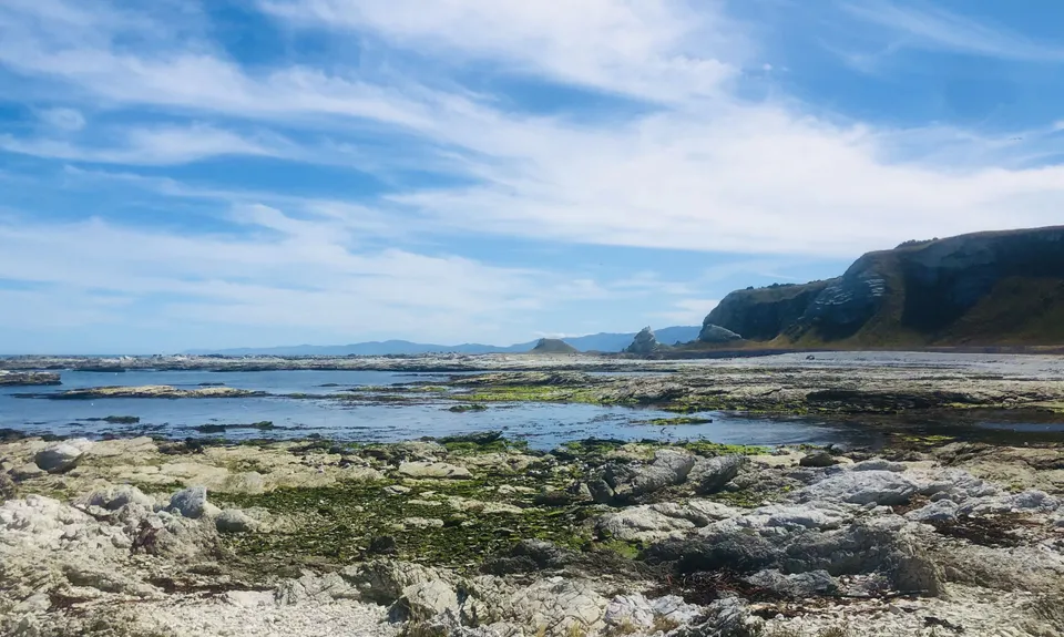 Kaikoura Cracker, Canterbury