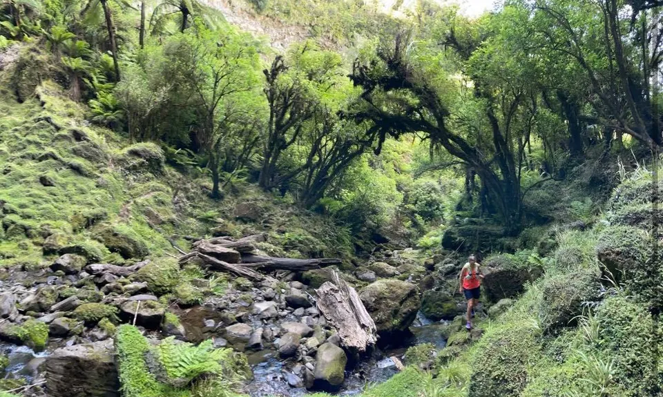 Tupapakurua Falls, Manawatu - Wanganui
