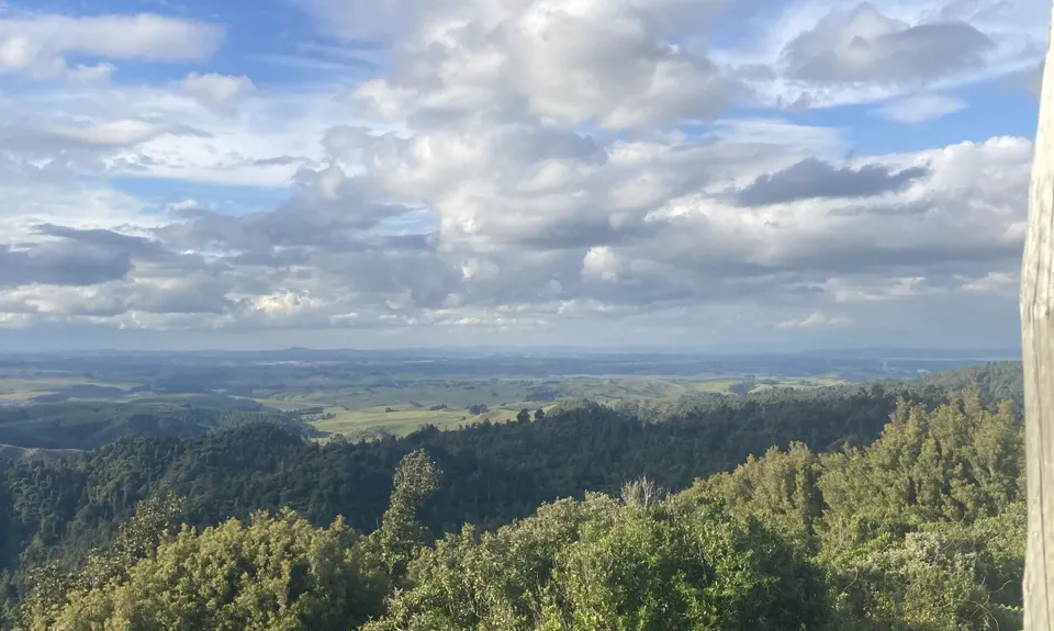 Hilly Hakarimata, Waikato