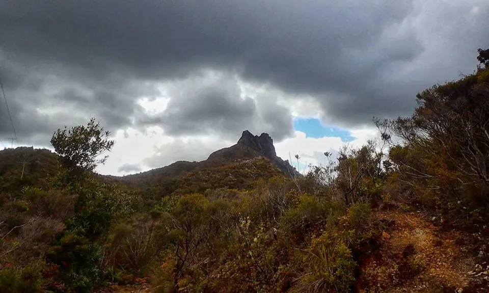 Pinnacles & Billy Goat, Waikato