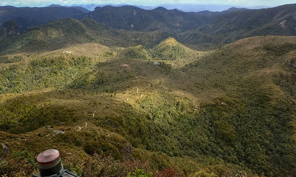 Pinnacles & Billy Goat, Waikato