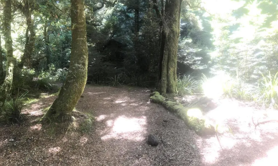 Kaimanawa Killer, Waikato