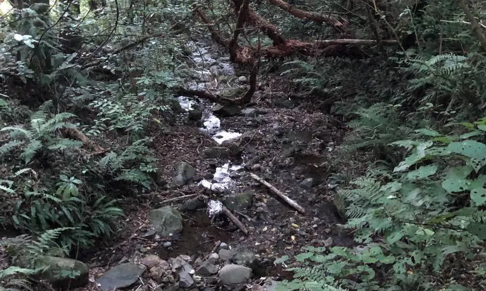 Mount Kaukau Loop, Wellington