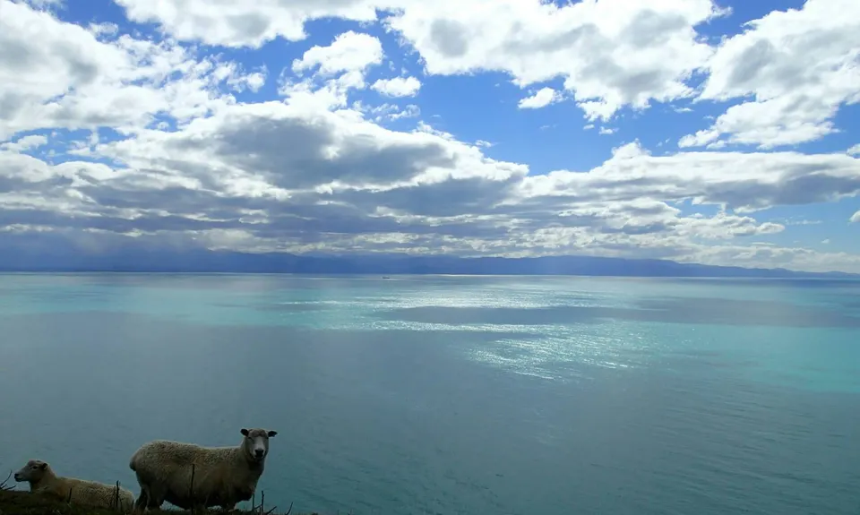 Cable Bay - Glenduan, Nelson